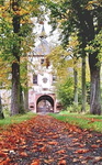 elsass2.jpg (60881 Byte)