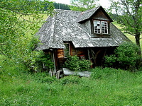 schwarzwald2.jpg (101918 Byte)