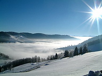schwarzwald_winter2.jpg (20070 Byte)